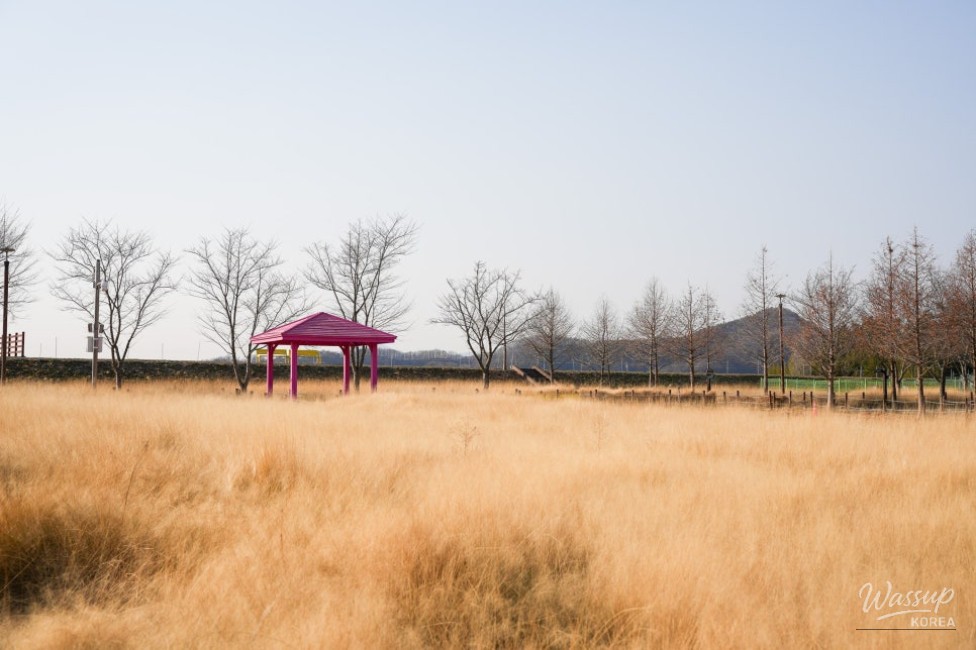 Exploring Akyang Ecological Park_02