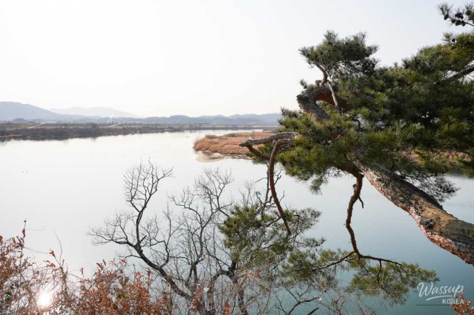 Exploring Akyang Ecological Park_12