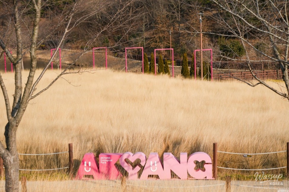 Exploring Akyang Ecological Park_16