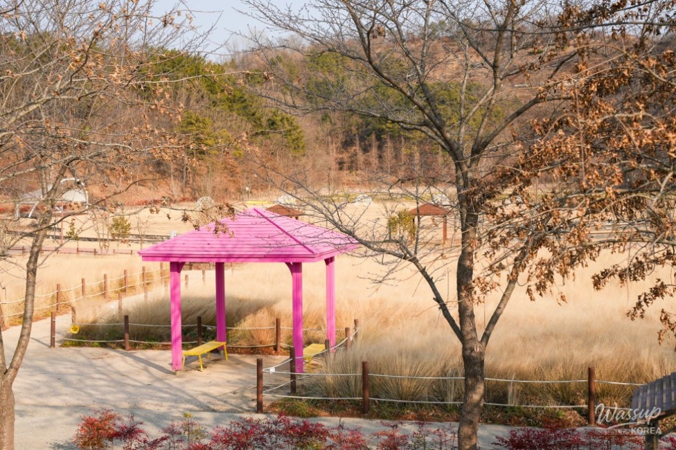 Exploring Akyang Ecological Park_15