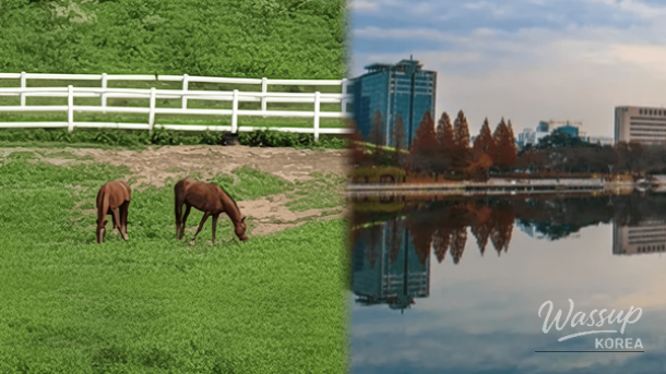 Best Day Trips to Goyang in February_01