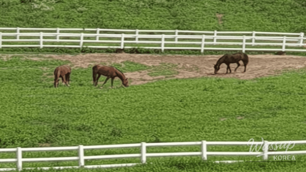 Best Day Trips to Goyang in February_02