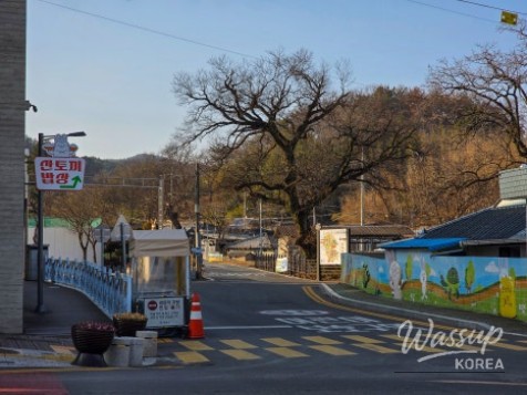 Discovering Santokki Dining in Changnyeong Anri Village_03