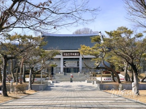 Enjoying a Historical Journey Indoors During the Lunar New Year Holiday_02
