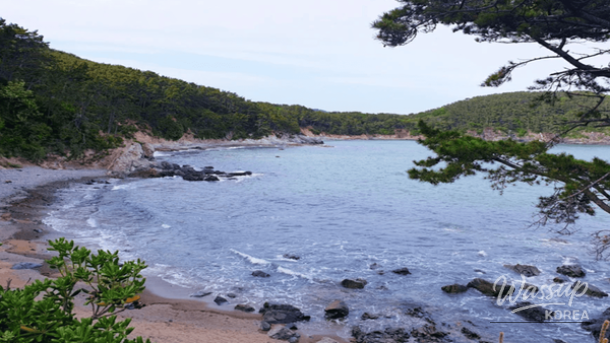 Best Winter Sunrise Spots in Gyeongsang-do for February_04