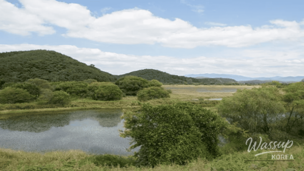 Best Winter Sunrise Spots in Gyeongsang-do for February_03