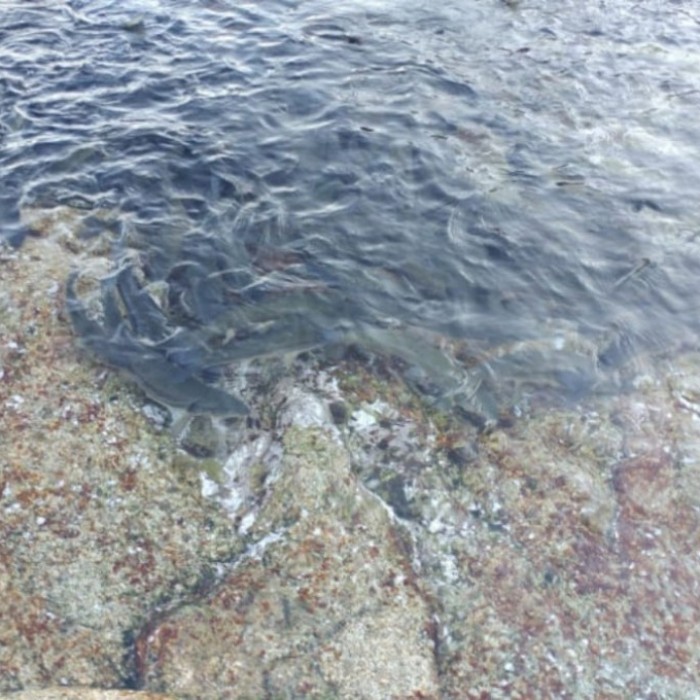 Exploring Huhyuam: A Serene Coastal Retreat in Yangyang, Gangwon-do2306