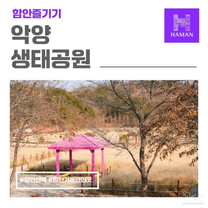 Exploring Akyang Ecological Park1281