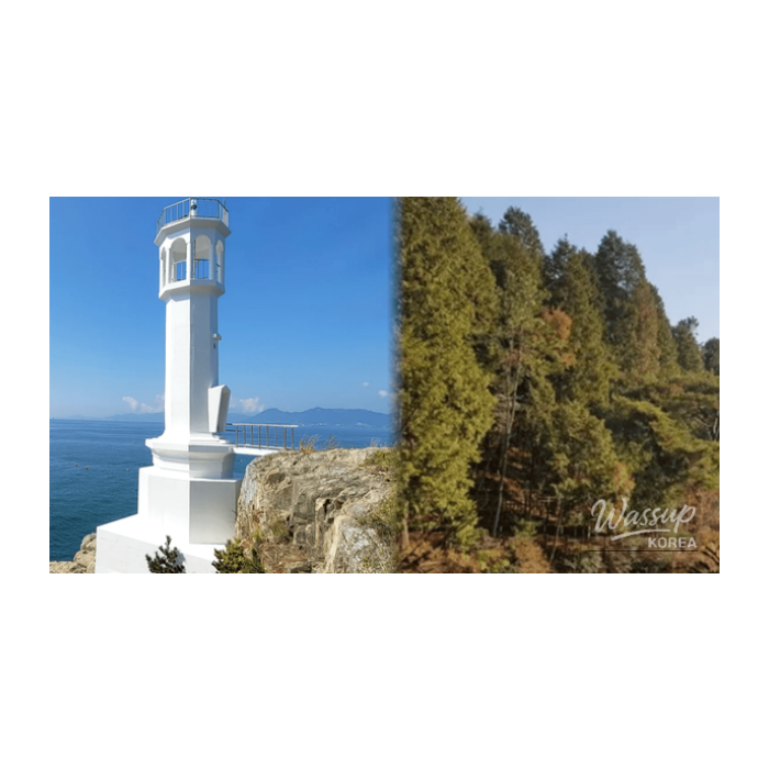 Exploring the Tranquil Beauty of Yeosu in February2314