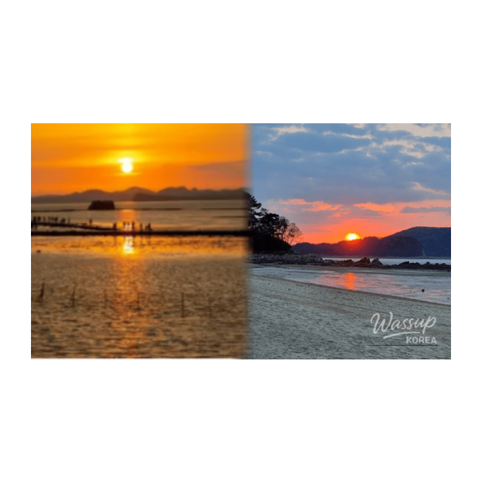 A Perfect Day Trip to Daebu Island in February2303