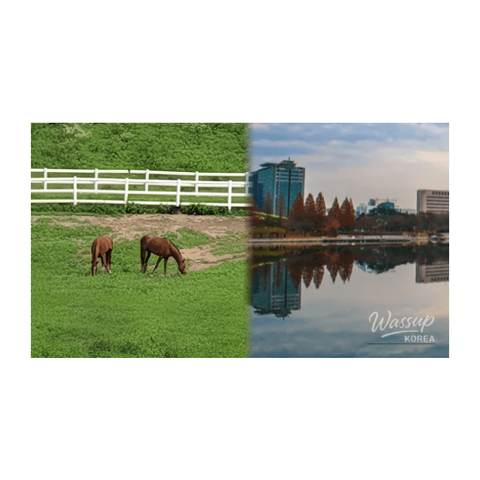 Best Day Trips to Goyang in February2317