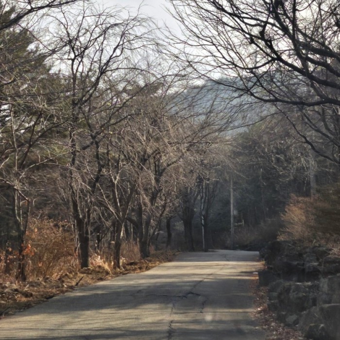 A Serene Visit to Yeonsusa Temple2312