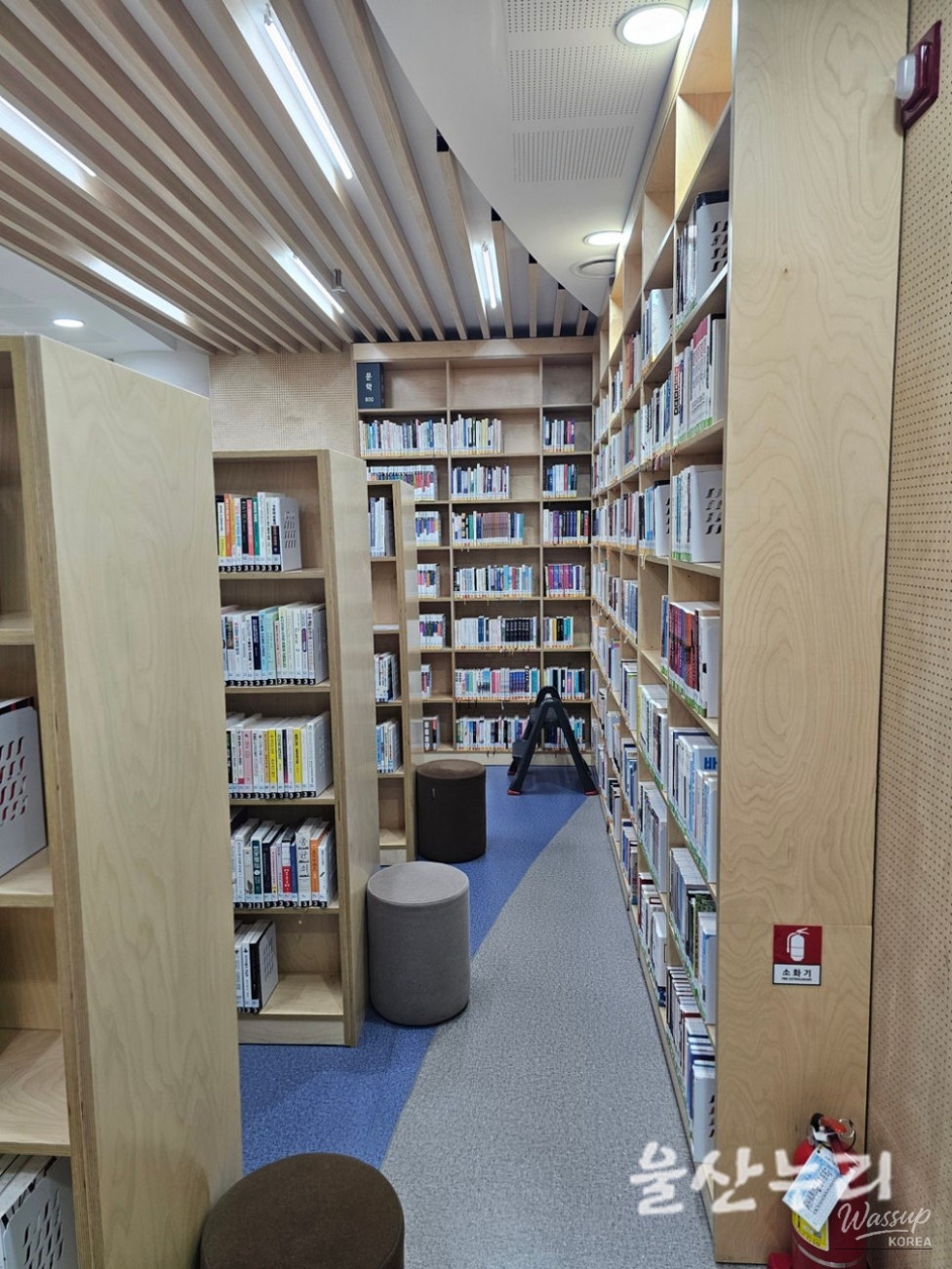 Exploring the Namwe Children's Library in Ulsan_15