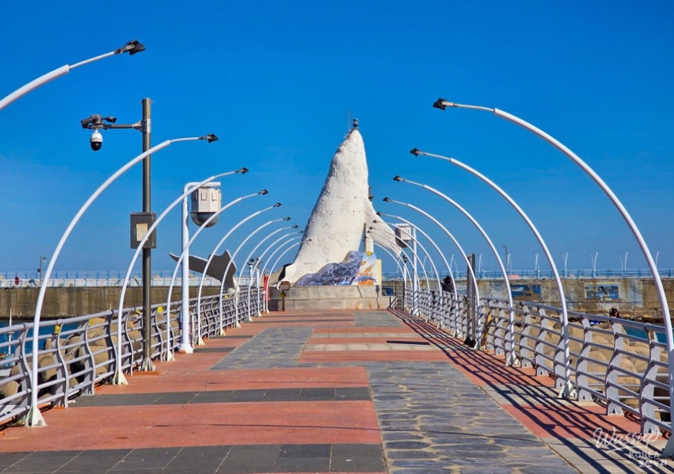 A Refreshing Winter Stroll at Jeongja Port in Ulsan_04