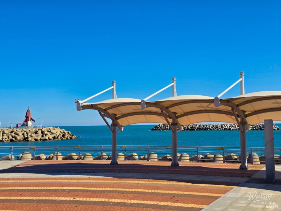 A Refreshing Winter Stroll at Jeongja Port in Ulsan_14