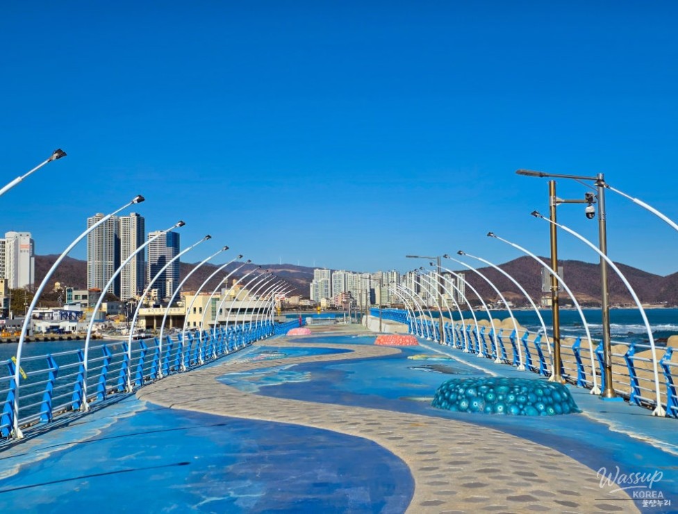 A Refreshing Winter Stroll at Jeongja Port in Ulsan_06
