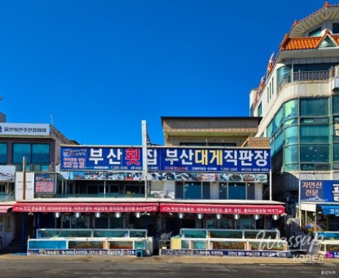 A Refreshing Winter Stroll at Jeongja Port in Ulsan_11