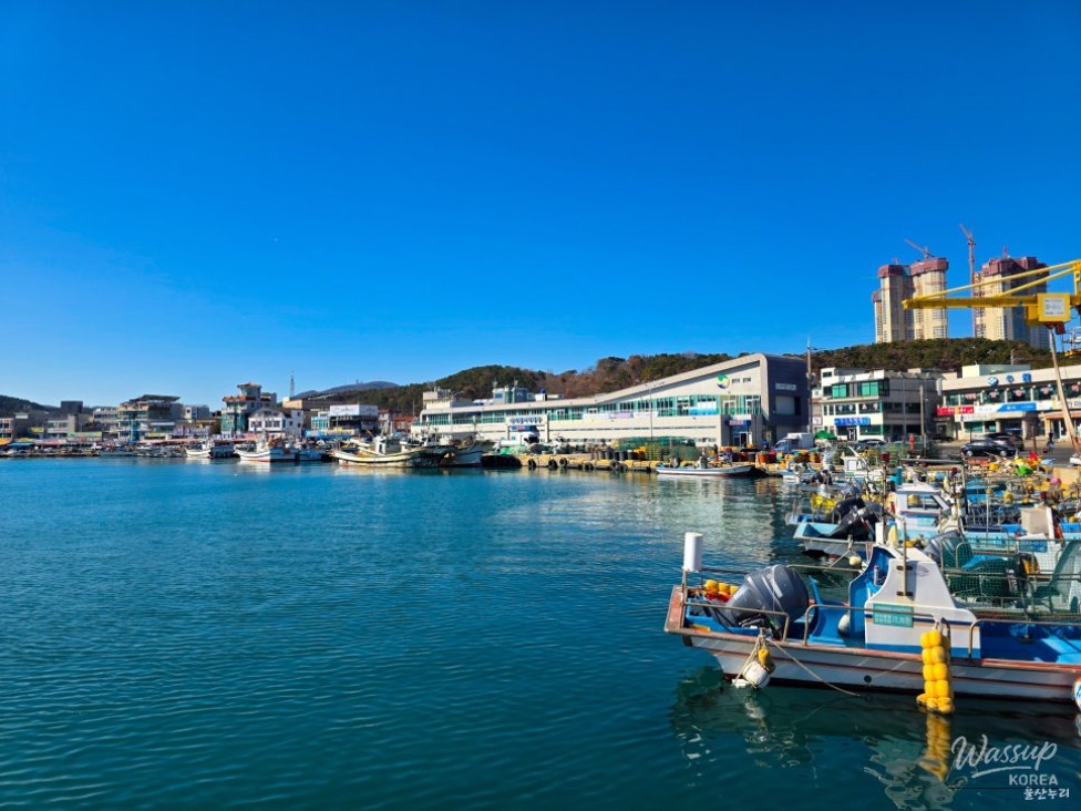 A Refreshing Winter Stroll at Jeongja Port in Ulsan_02