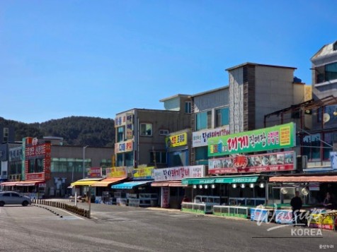 A Refreshing Winter Stroll at Jeongja Port in Ulsan_10