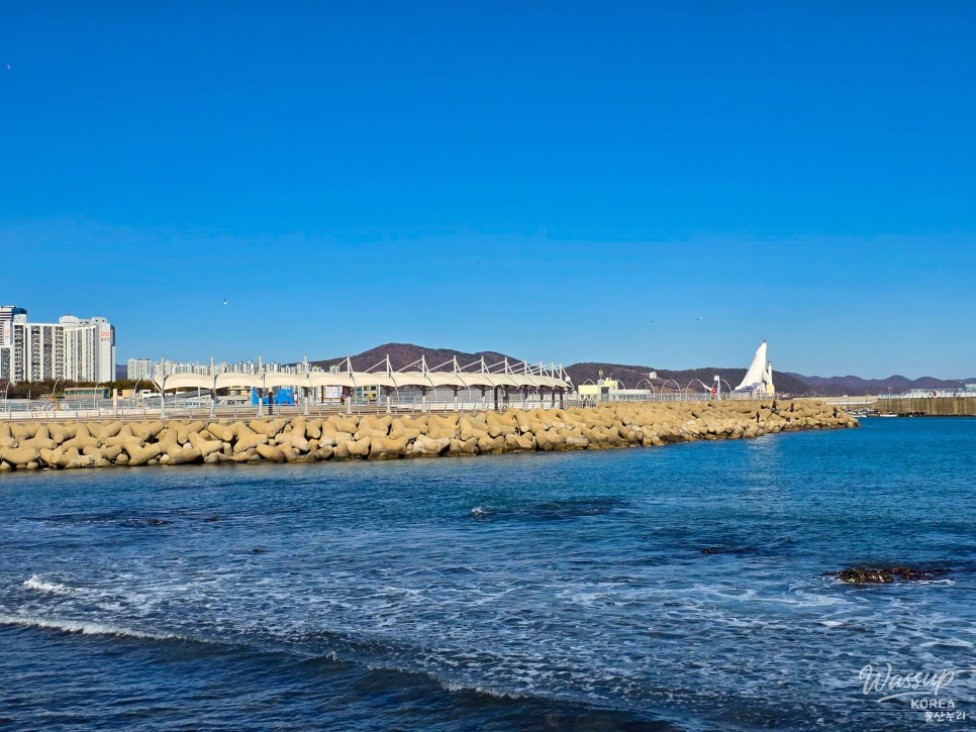 A Refreshing Winter Stroll at Jeongja Port in Ulsan_08