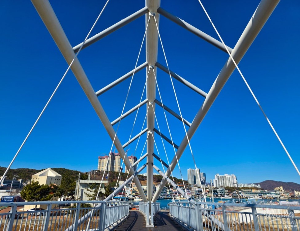 A Refreshing Winter Stroll at Jeongja Port in Ulsan_13
