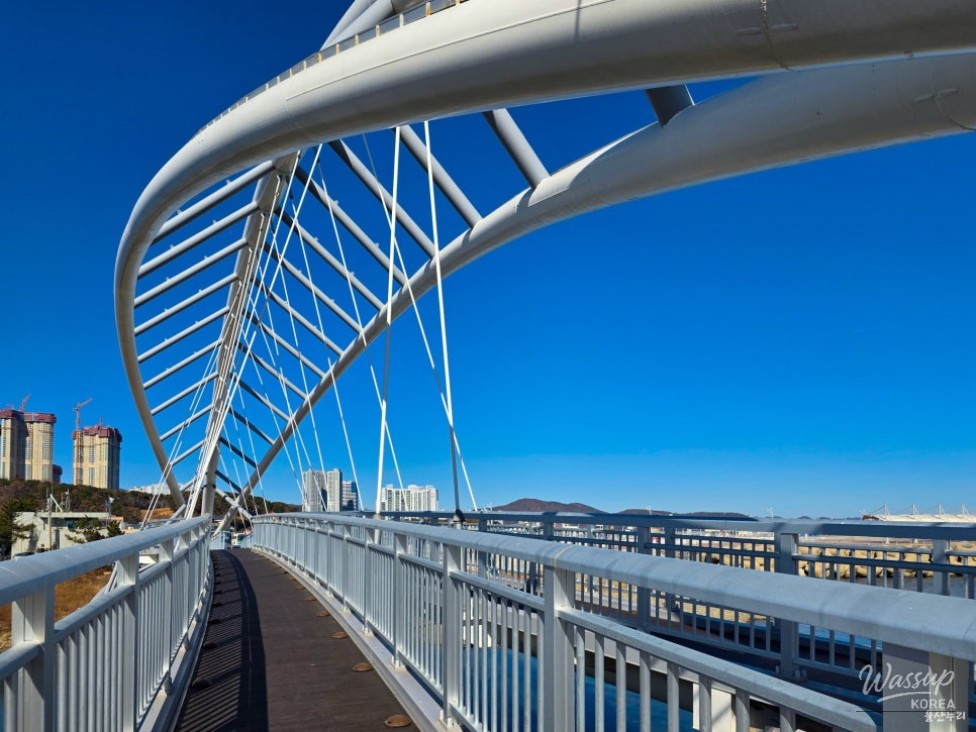 A Refreshing Winter Stroll at Jeongja Port in Ulsan_12