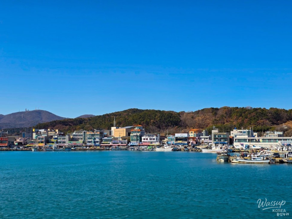 A Refreshing Winter Stroll at Jeongja Port in Ulsan_03
