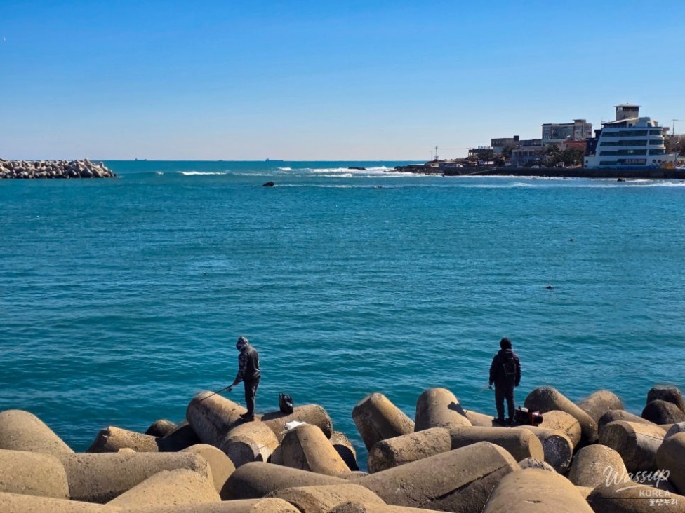 A Refreshing Winter Stroll at Jeongja Port in Ulsan_15