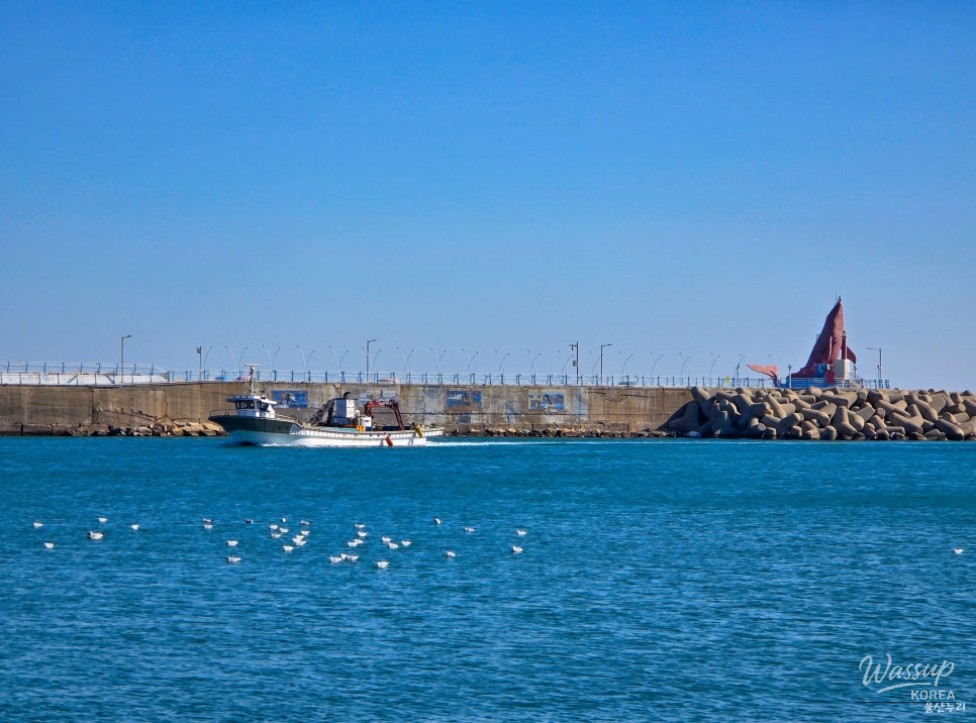 A Refreshing Winter Stroll at Jeongja Port in Ulsan_17