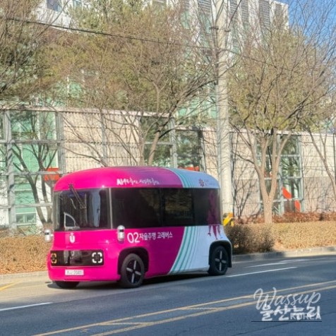 Exploring Ulsan's Innovative Whale Bus_03