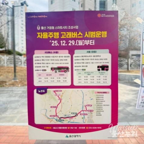 Exploring Ulsan's Innovative Whale Bus_02