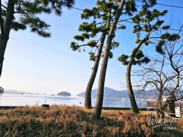 Family Camping Trip in Jinhae_01