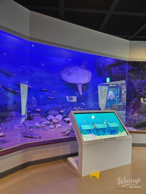 Family Camping Trip in Jinhae_03