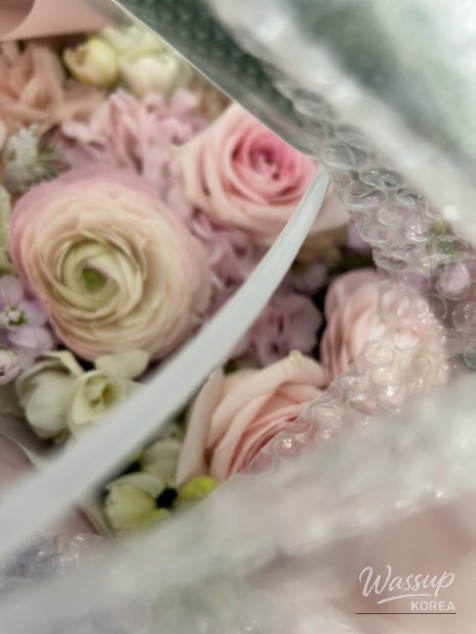 Cherry Blossom Season 2026: A Guide to Viewing and Festivals_05