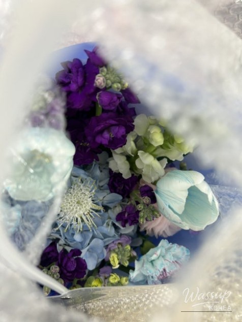 Cherry Blossom Season 2026: A Guide to Viewing and Festivals_04