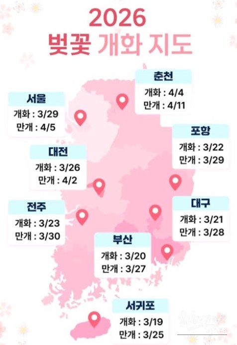 Cherry Blossom Season 2026: A Guide to Viewing and Festivals_02