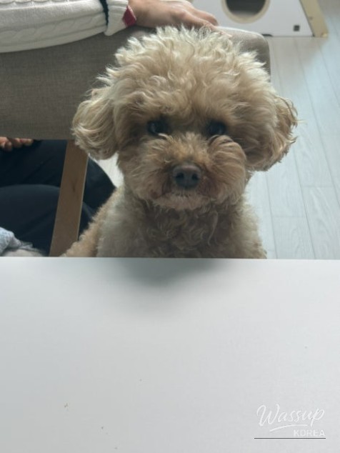 Reflections on the New Year_09