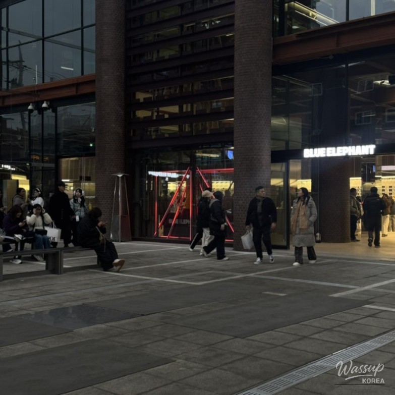 Exploring Blue Elephant Space in Seongsu_03