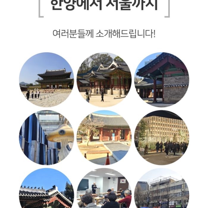 Highlights of the Gyeongbokgung Palace Tour235