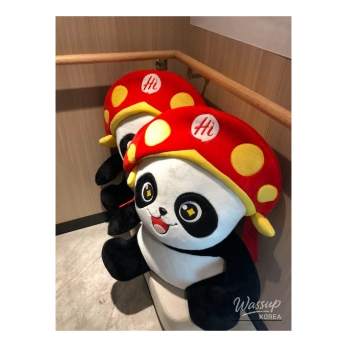 My Experiences at Various Places741