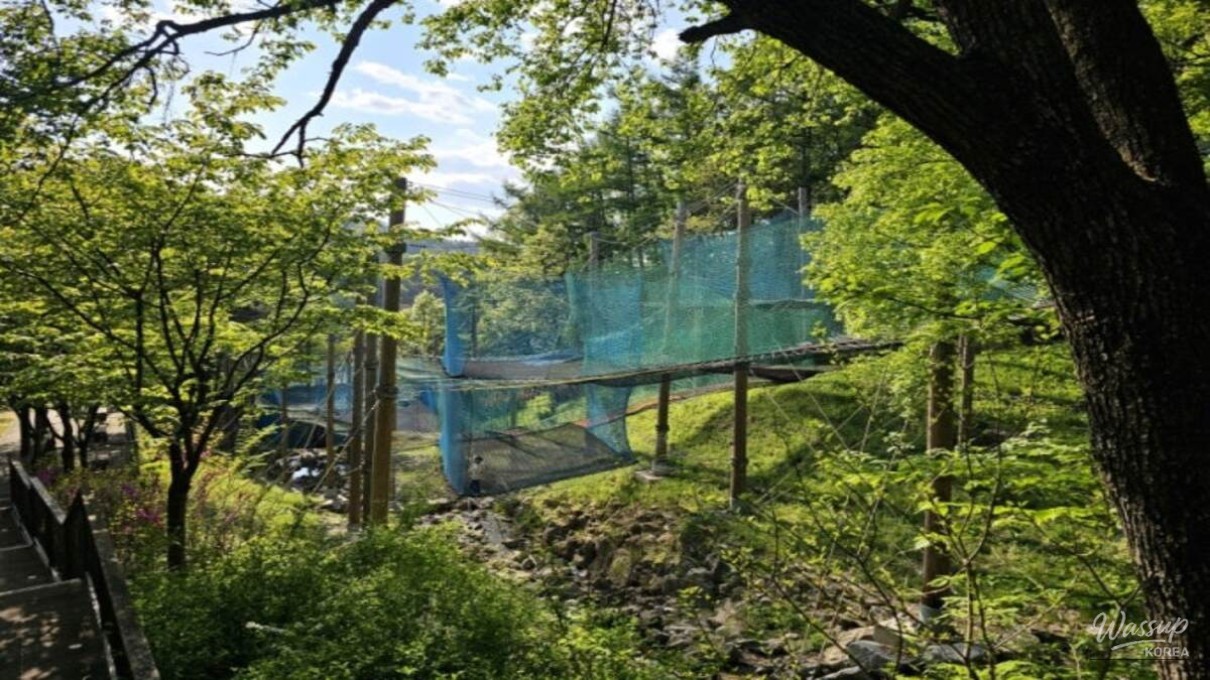 Dynamic Dates in Dongducheon: Explore the Joyful Forest_05