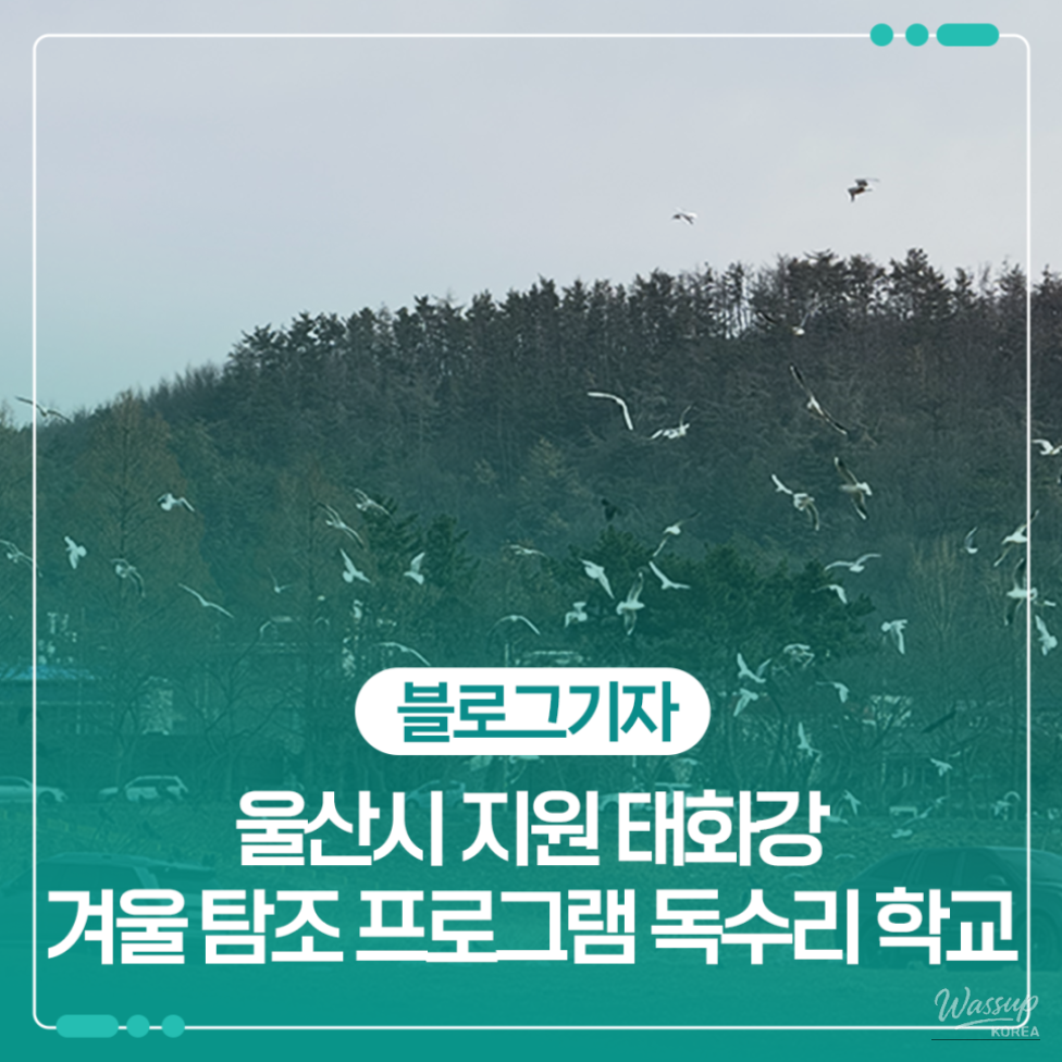 Eagle Watching in Ulsan: A Unique Experience_01