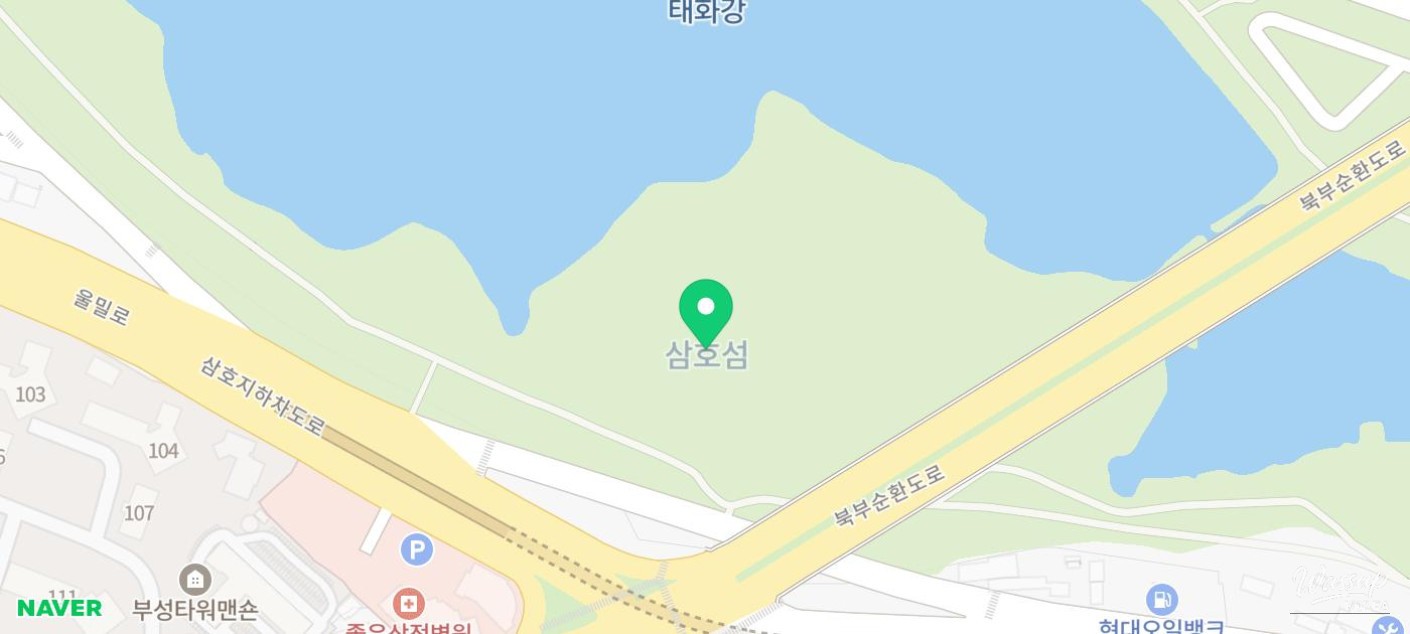 Eagle Watching in Ulsan: A Unique Experience_02