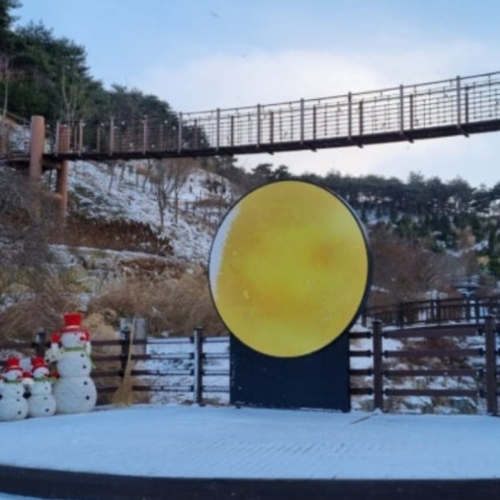 Exploring the Tranquil Samseongsan Arboretum in Winter2344