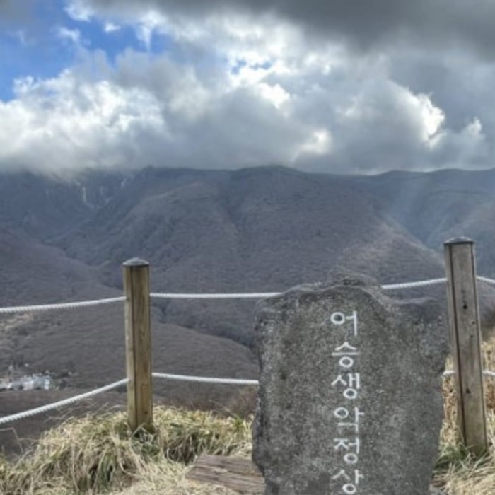 Exploring the Winter Beauty of Eoseungsaengak in Jeju2357