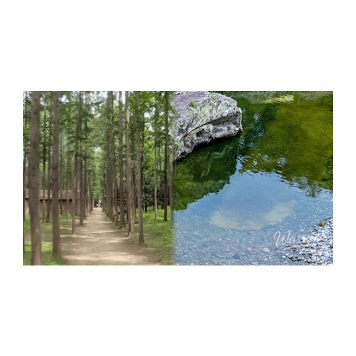 Discovering the Tranquility of Yeongdeok in February2346