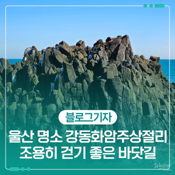Exploring the Hidden Gem of Gangdong Hwaam Columnar Joints in Ulsan1311