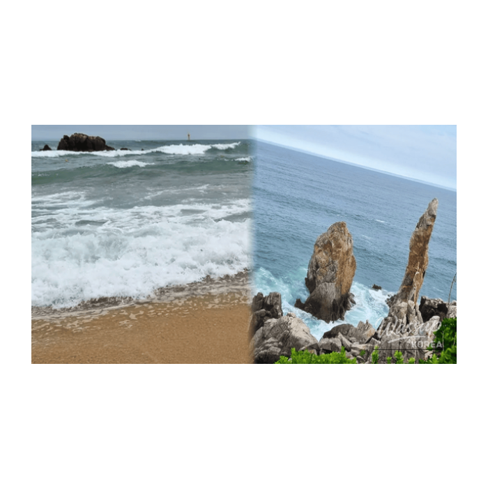 Discovering the Tranquil Beauty of Donghae in February2342