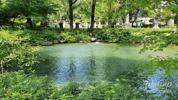 Exploring Taebaek: Best Places to Visit in February_03