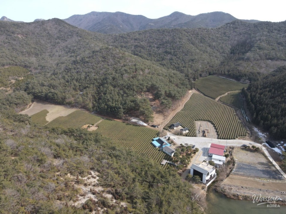 Yenda Won: A New Healing Landmark in Gochang_03